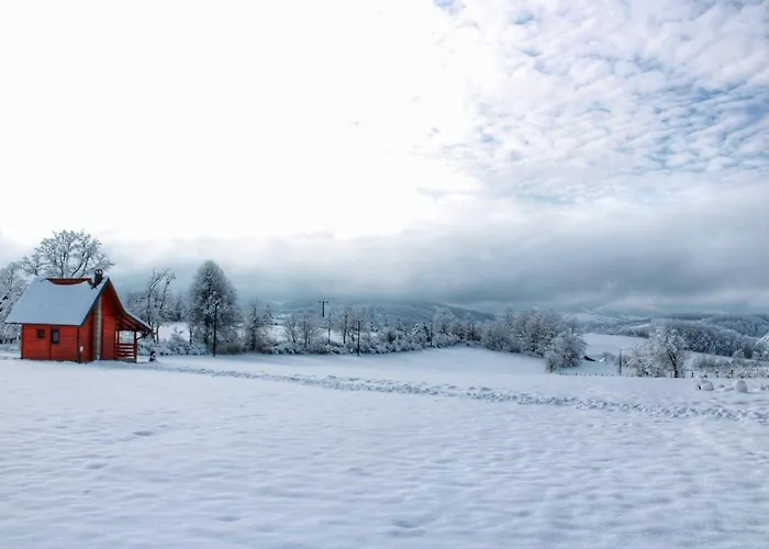 Brvnara Zecevic בקתה זלאטיבור